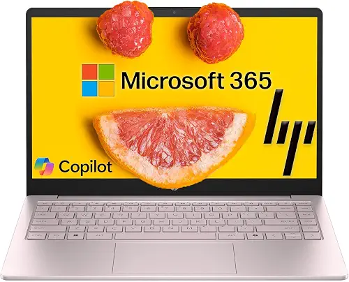 HP Portable · N100 · 8 Go